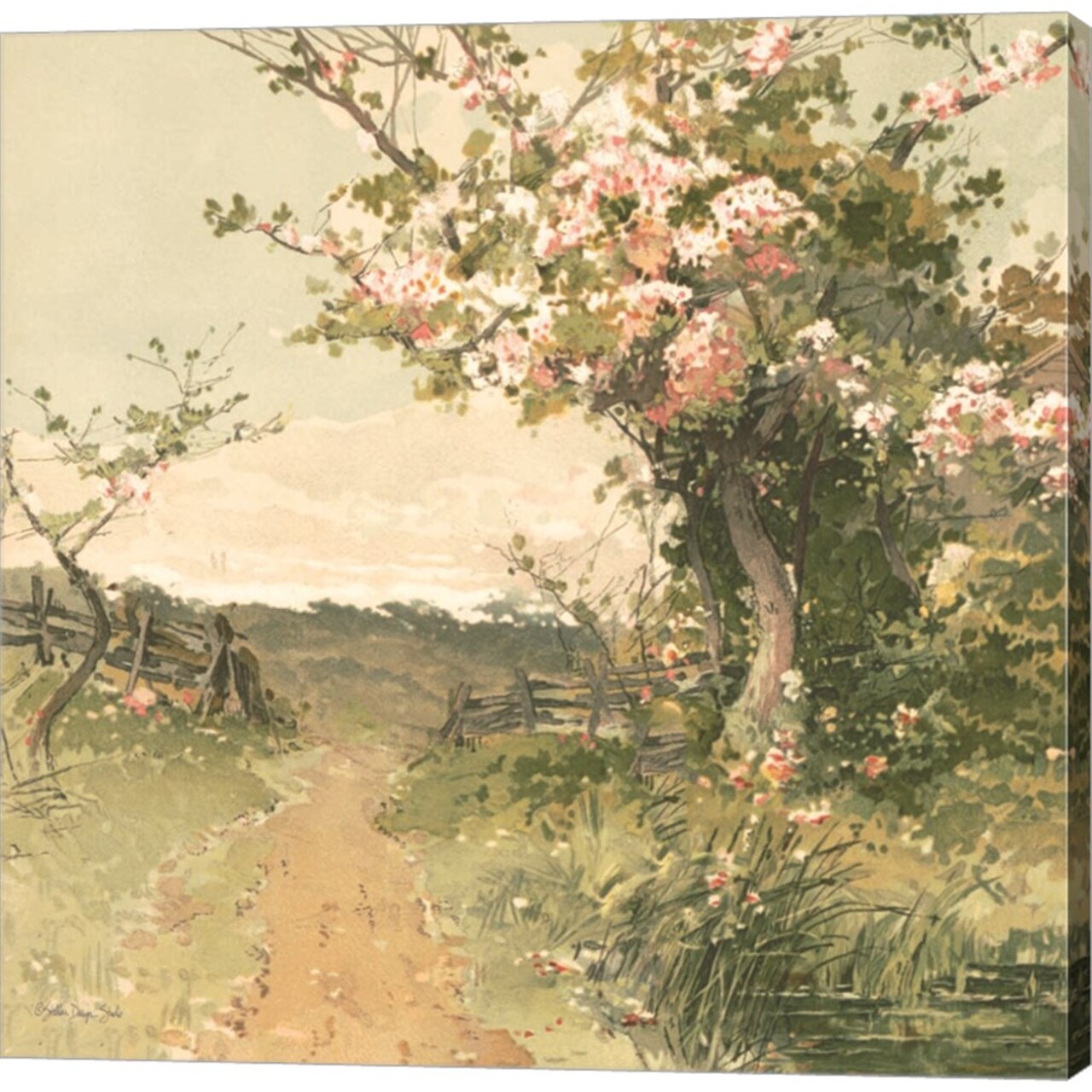 Country Pond 5 by Stellar Design Studio 24" x 24" Canvas Wall Art